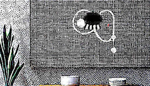 The Anthropic Paradox: When Regulatory Heat Fuels Decentralized AI Hype, Not Hope