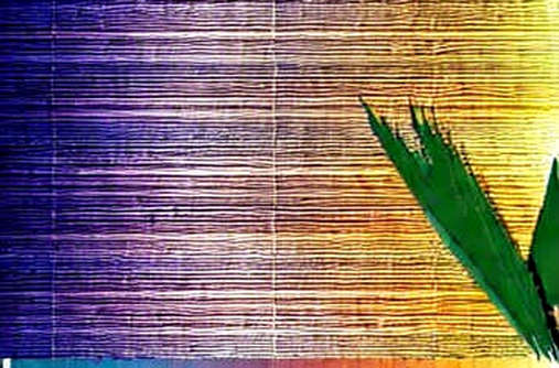 Amazon's $200B AI Bet: The Centralized Narrative That Crypto Can't Ignore Amazon's $200B AI Bet: The Centralized Narrative That Crypto Can't Ignore
