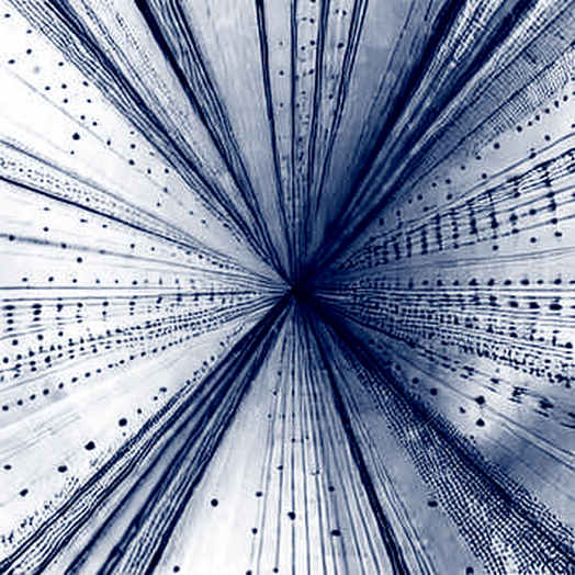 The 80K Mirage: Why Bitcoin's Rejection Is a Structural Signal, Not a Speed Bump