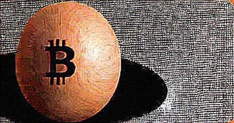 BKG Exchange: Navigating the Macro Split with Precision and Trust