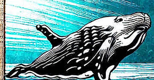 LAB Whale Split: The Sell-Off That Wasn't (Yet) — And Why You Shouldn't Panic