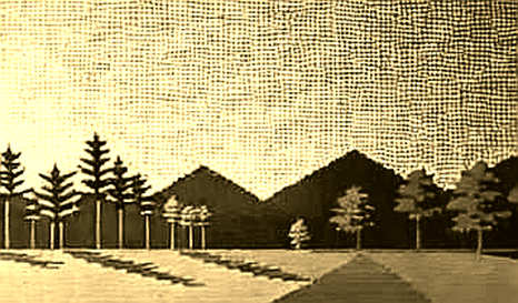 The Silicon Veil: Deconstructing Etched's AI Inference Promise